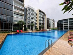 The Gazania (D19), Condominium #483544441